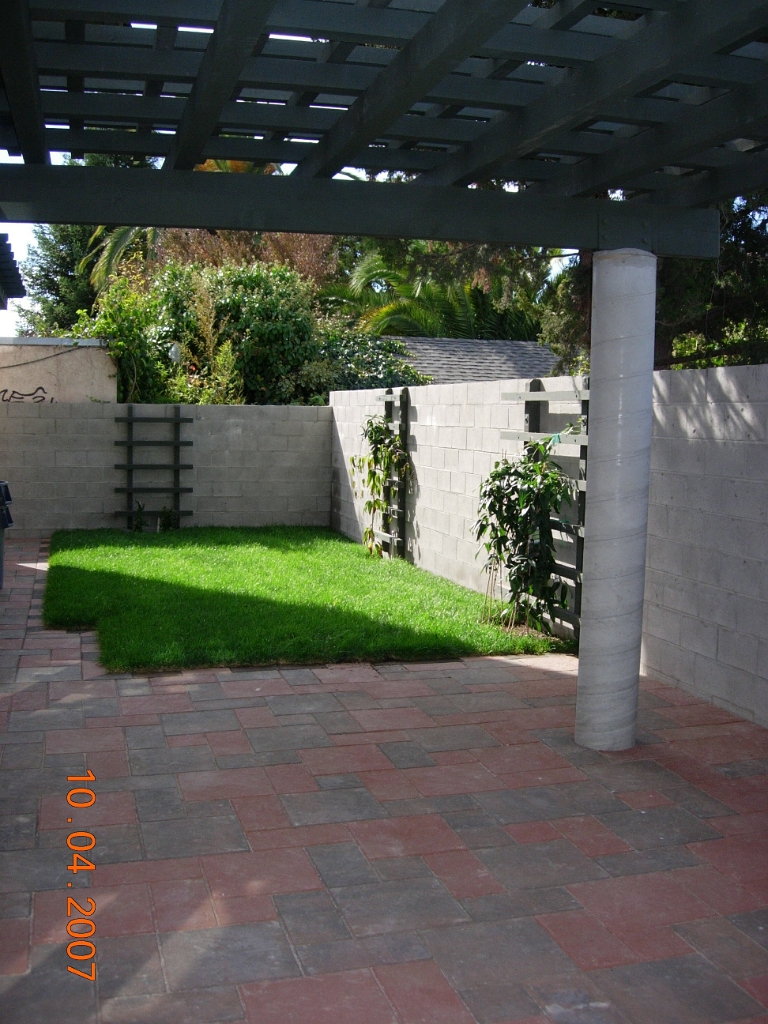 DSCN4395